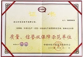 質(zhì)量、信譽(yù)雙保障示范單位